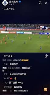 意甲20252026赛季主场积分榜全面解析